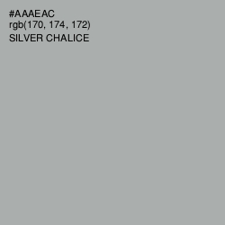 #AAAEAC - Silver Chalice Color Image
